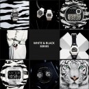 已完售,CASIO GA-100BW-1ADR(公司貨,保固1年):::G-SHOCK Standard,指針+數字雙顯系列,GA100BW