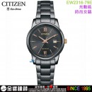 【金響鐘錶】現貨,CITIZEN EW2316-79E(公司貨,保固2年):::Eco-Drive,光動能,時尚女錶,藍寶石,日期,5氣壓防水,E011機芯,EW231679E